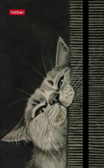 Записная книжка 80-50л. А6 Hatber Мяу-Мяу гребень, резинка