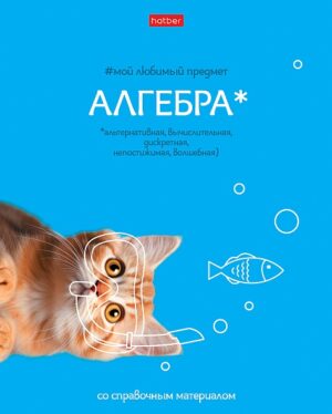 Тетрадь 48 л. клетка Hatber Мой любимый предмет АЛГЕБРА