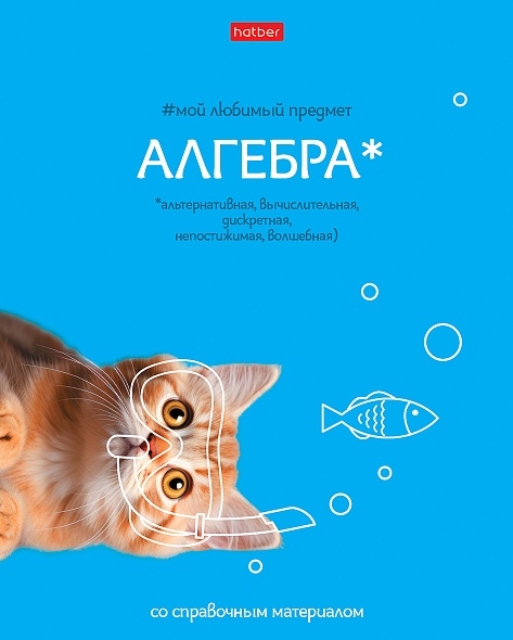 Тетрадь 48 л. клетка Hatber Мой любимый предмет АЛГЕБРА