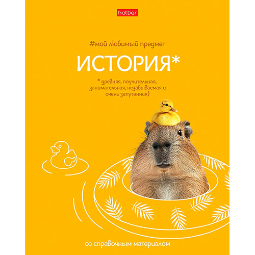Тетрадь 48 л. клетка Hatber Мой любимый предмет ИСТОРИЯ