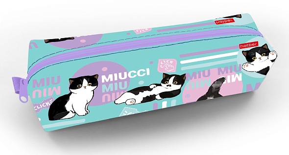 Пенал мягкий на молнии Hatber 210х50х60мм Мяуччи