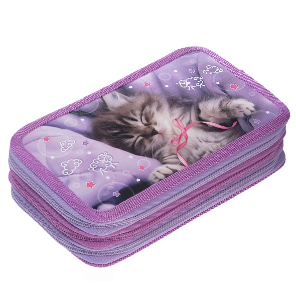 Пенал 3отд. Hatber 190х110мм Что снится котикам?