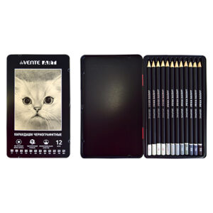 Набор карандашей чернографитных deVENTE Art 12шт. (2Т,Т,ТМ-2,М,2М-8М)металлическая коробка