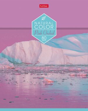 Тетрадь 80 л. линия Hatber Colour