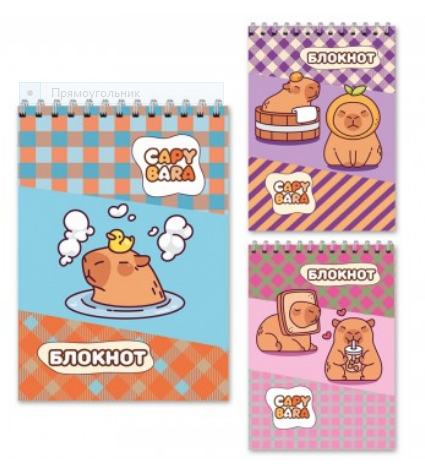 Блокнот 40л. А6 CAPYBARA клетка, гребень
