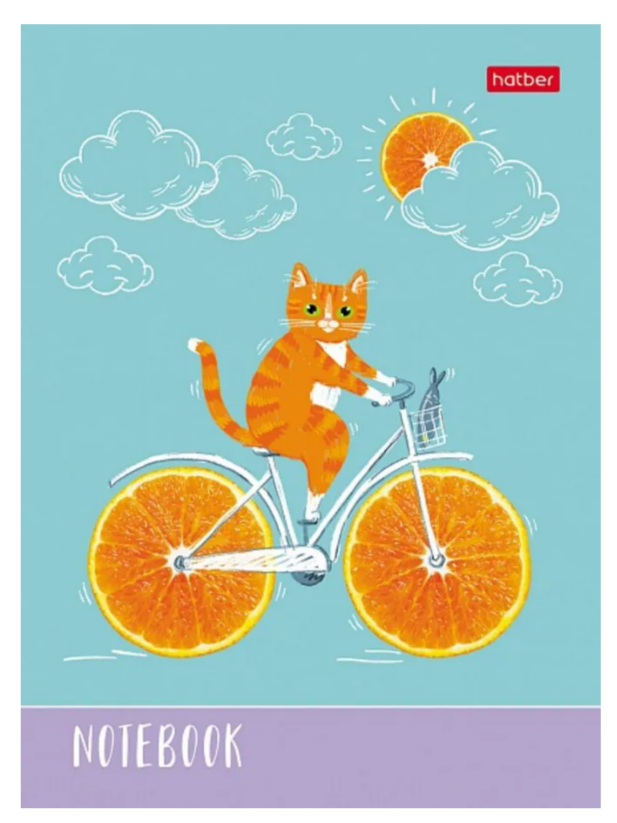 Записная книжка 48л. А6 Hatber Котик-апельсинчик, клетка
