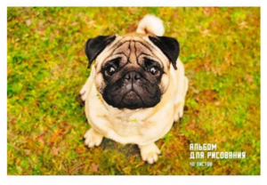 Альбом для рисования 40л. Эксмо Взгляд мопса