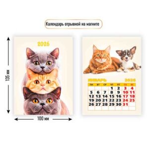 Календарь отрывной на магните 100х135мм 2026г Котики