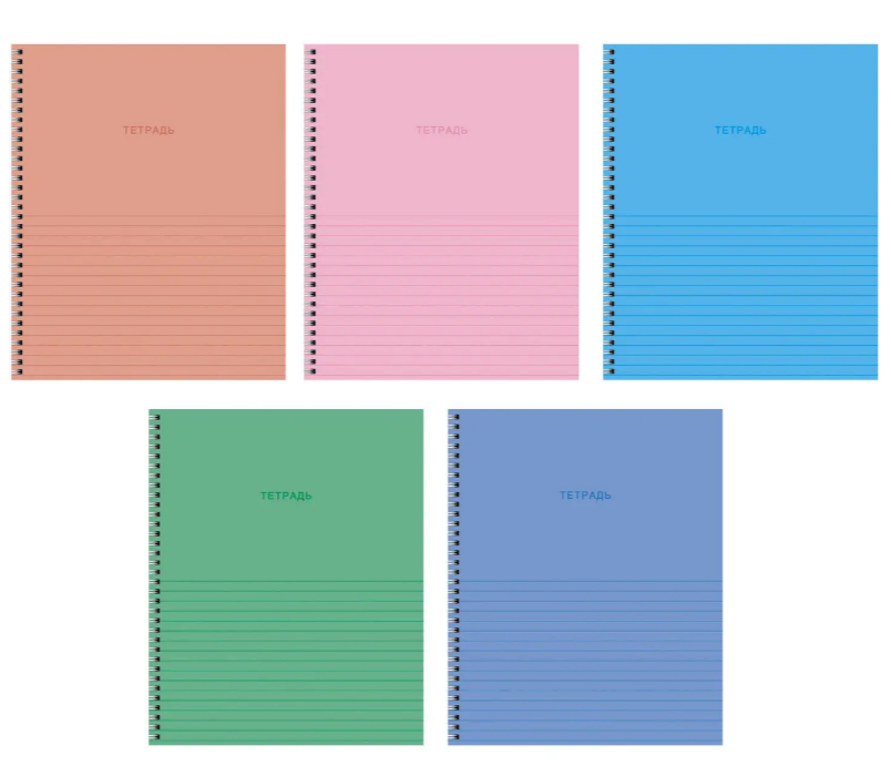 Тетрадь 80л. линия Эксмо В линию, гребень