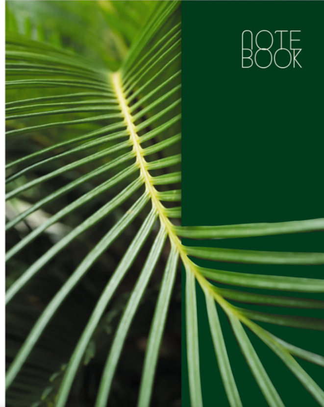 Тетрадь 60л. А4 клетка Эксмо Сочный лист