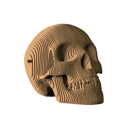 Конструктор картонный 3D 5cult Череп