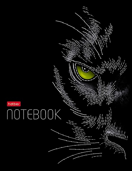 Бизнес-блокнот А5 80л. Hatber Black Cat, клетка