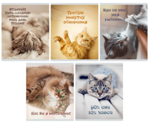 Тетрадь 40 л. линия ЭКСМО Кото-терапия