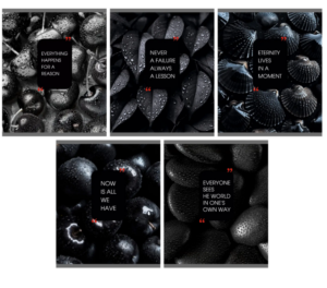 Тетрадь 48 л. клетка ЭКСМО Natural Black