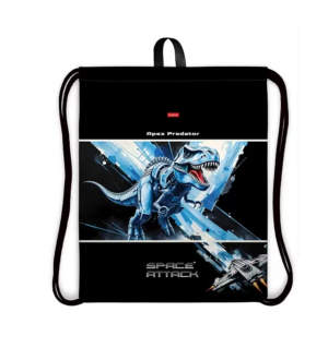 Сумка для обуви Hatber Dino Space 41х49см