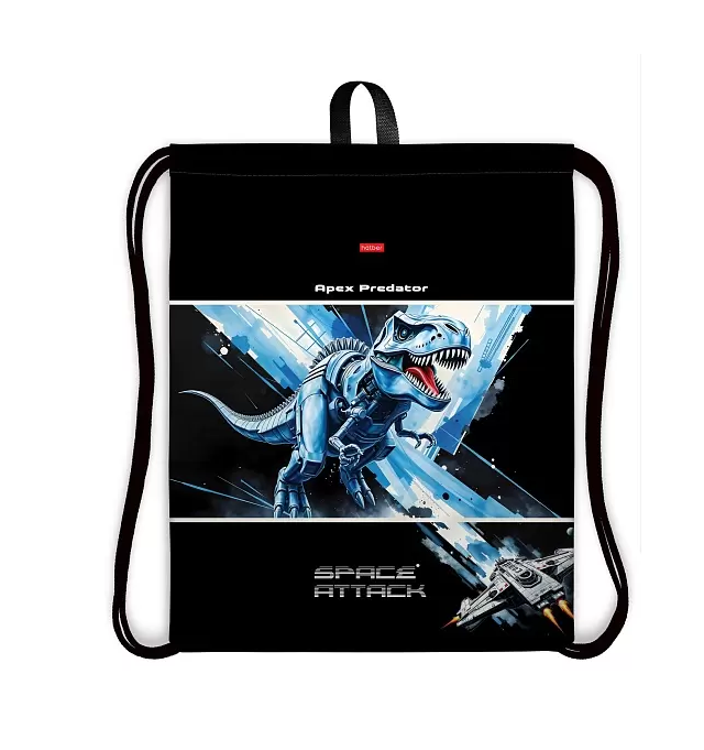 Сумка для обуви Hatber Dino Space 41х49см