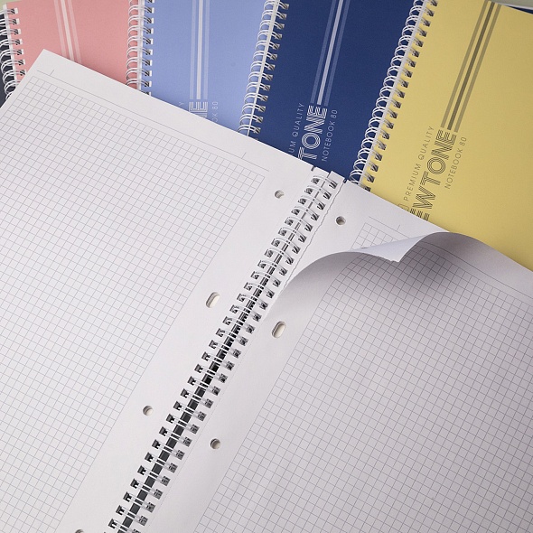 Тетрадь 80л. А4 клетка Hatber NEWtone PASTEL Серый агат, на гребне