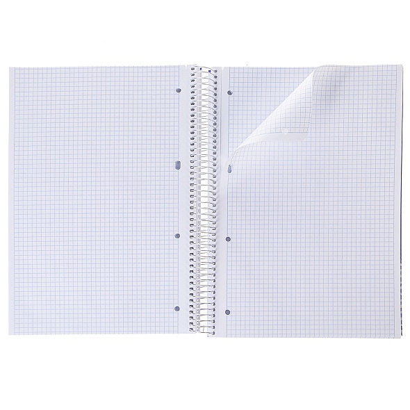 Тетрадь160л. А4 клетка Hatber Special Spring, 7БЦ на гребне