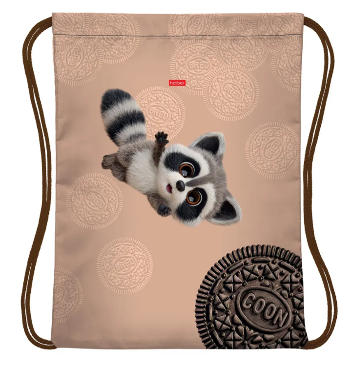 Сумка для обуви Hatber ВОТ ЕНОТ 33х42см