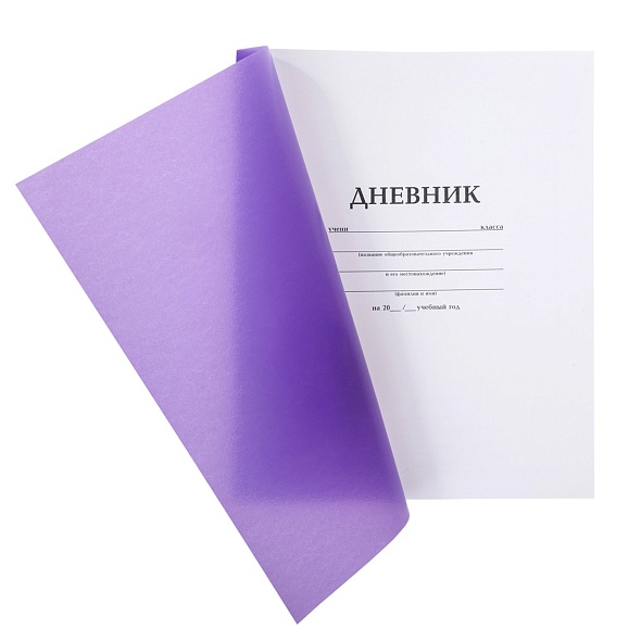 Дневник 1-11кл Hatber Пластиковая обложка Фиолетовый