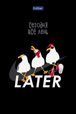 Блокнот 40л. А6 Hatber Приключения чайки, клетка. склейка