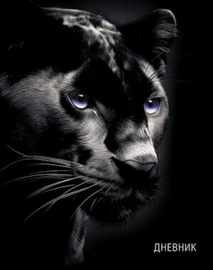 Дневник 1-11кл 7БЦ Апплика Черная пантера