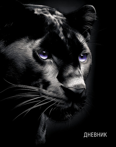 Дневник 1-11кл 7БЦ Апплика Черная пантера