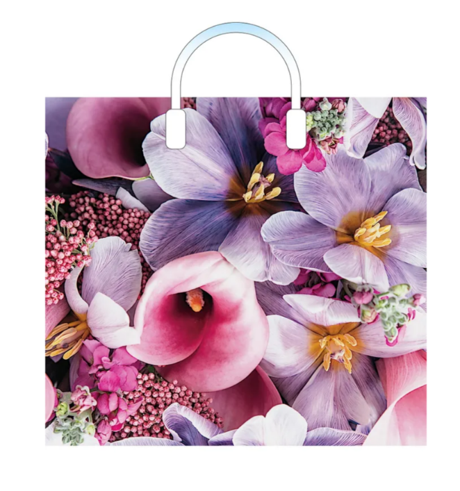 Пакет полиэтиленовый с пластиковой ручкой 38х34см MILAND Ванда