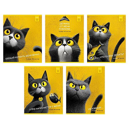 Тетрадь 48 л. клетка Hatber Пушистый философ