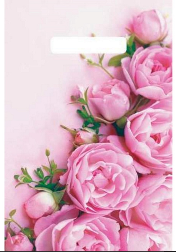 Пакет полиэтиленовый 20х30см MILAND Ненси