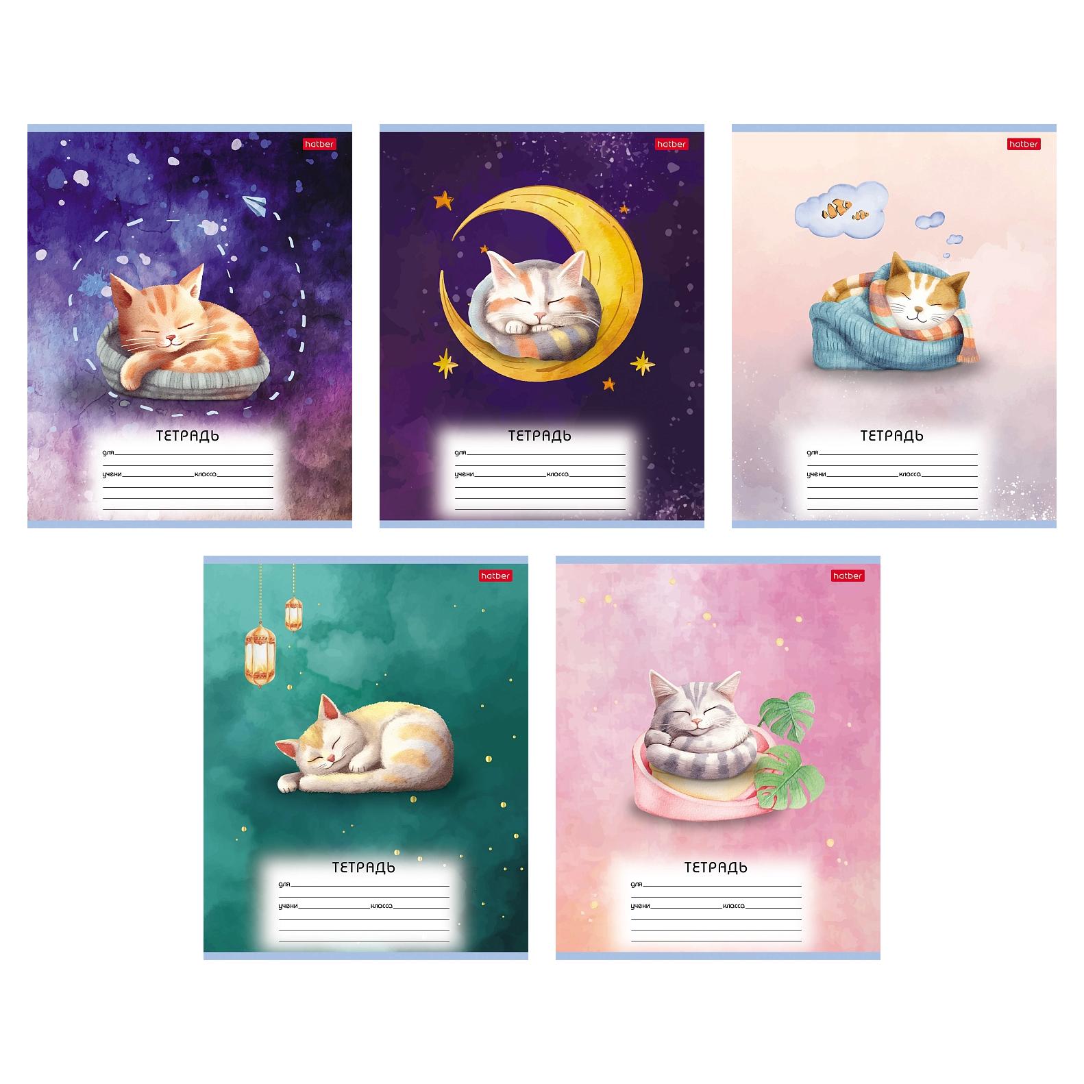 Тетрадь 12 л.линия Hatber Пушистые сны