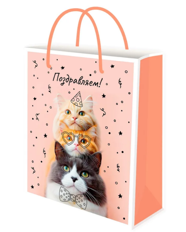 Пакет подарочный бумажный 26,4х32,7см (L) MILAND Милые питомцы