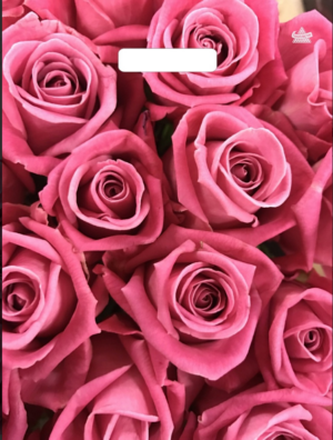 Пакет полиэтиленовый 31х40см MILAND Джейми