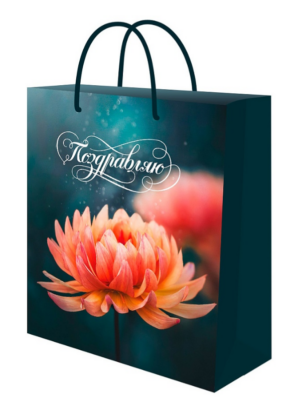 Пакет подарочный бумажный 11,5х14,5см (S) MILAND Цветок