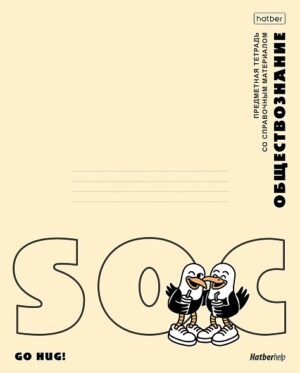 Тетрадь 48 л. клетка Hatber Приключения чайки ОБЩЕСТВОЗНАНИЕ, пластиковая обложка