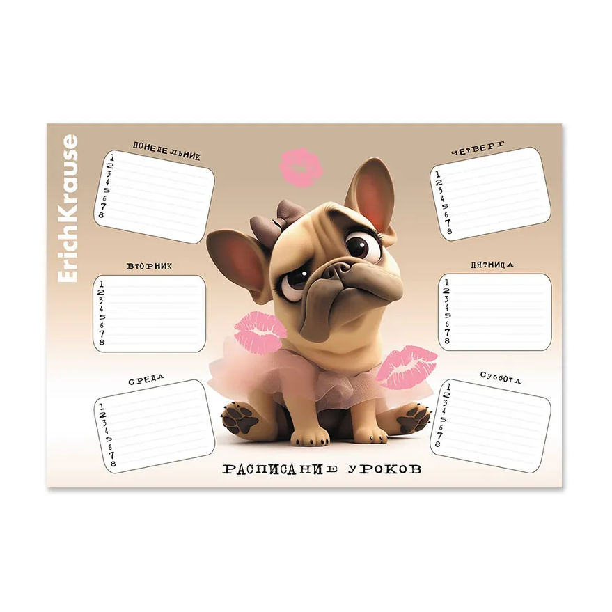 Расписание уроков А4 Erich Krause Frenchie