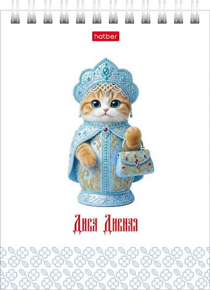 Блокнот 40л. А6 Hatber Дива дивная на гребне, клетка