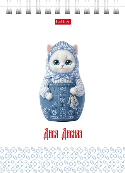 Блокнот 40л. А6 Hatber Дива дивная на гребне, клетка