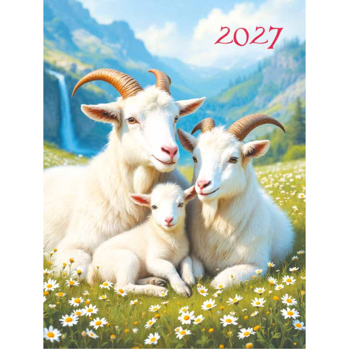 Календарь отрывной на магните 2027г Символ года1