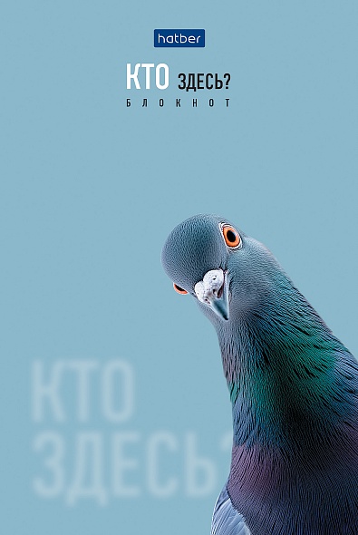 Блокнот 40л. А6 Hatber Кто здесь? клетка, склейка