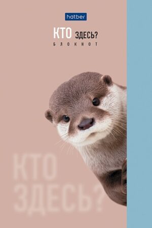Блокнот 40л. А6 Hatber Кто здесь? клетка, склейка