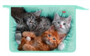 Папка для тетрадей на молнии А4 Hatber Котики бывают разными, 2отд.