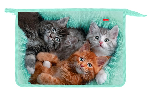 Папка для тетрадей на молнии А4 Hatber Котики бывают разными, 2отд.