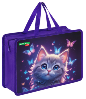 Папка с ручками BRAUBERG KIDS А4 Curious cat, с расширением 10см