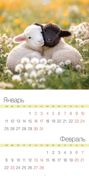 Календарь настенный перекидной 30х30см ЭКОНОМ 2027г_Знак Года