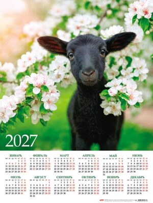Календарь листовой А2 Hatber 2027г Знак Года3